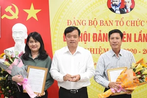 Cà Mau: Điều động, bổ nhiệm nhiều lãnh đạo sở