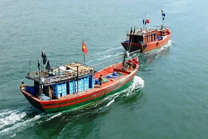 Cà Mau cách ly tập trung 6 ngư dân về từ Malaysia