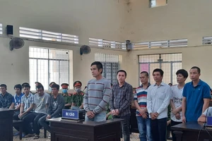 Y án các bị cáo cầm đầu vụ 'siêu trộm tôm' ở Cà Mau