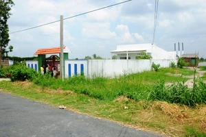 Khởi tố vụ án trốn thuế cả trăm tỉ đồng tại Cà Mau