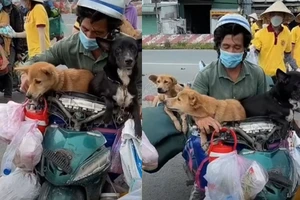 Trưởng trạm y tế liên quan vụ tiêu hủy chó mèo xin nghỉ phép dài hạn