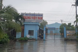 Công ty không có nổi 2,5 triệu đồng đã nộp 5 triệu để thi hành án