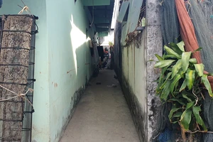 Cà Mau xác minh clip đánh đập trẻ em cả giờ đồng hồ sau bụi rậm 