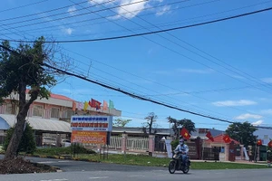 Cà Mau: Buộc 3 Công ty di dời tài sản hơn 60 tỉ ra khỏi đất Nhà nước