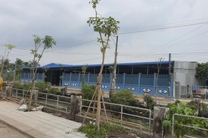 Ngày mai Bạc Liêu xử phúc thẩm vụ án 'đòi đất thời ông cố'