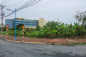 Giám đốc lừa bán đất nền ở Cà Mau kháng cáo xin giảm nhẹ 