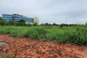 Giám đốc lãnh án chung thân vì lừa bán đất nền, chiếm đoạt 60 tỷ đồng