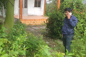 Vụ 3 cây mai Cà Mau: VP Chính phủ chuyển đơn cho tỉnh giải quyết