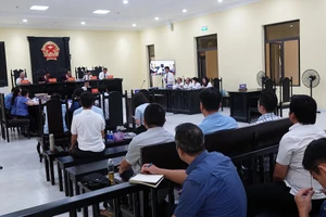 Vụ án ông Tô Hoài Dân: Trả hồ sơ điều tra bổ sung