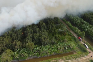 Cháy rừng tràm U Minh Hạ, Cà Mau
