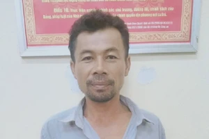 Cà Mau: Bắt 6 người trộm thiết bị điện gió trị giá 28 tỷ đồng