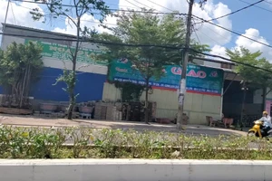 Chủ tịch tỉnh Cà Mau chỉ đạo xử lý ngay công trình vi phạm trước mặt UBND phường