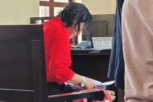 Vụ án doanh nhân Âu Ngọc Vững huỷ hoại tài sản: Tạm đình chỉ chờ định giá