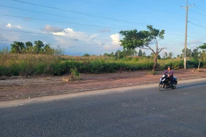 Chủ tịch tỉnh Cà Mau chỉ đạo triển khai tiếp dự án của Công ty Quang Tiền