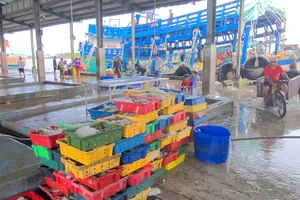 Cà Mau: Quyết liệt bảo vệ nguồn lợi thủy sản, xử lý nghiêm vi phạm