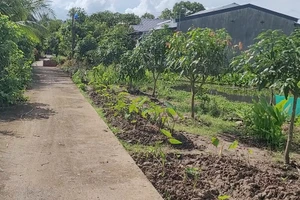 Từ vụ cái bồn kỳ lạ, lộ ra nhiều công trình xây trên đất lúa 