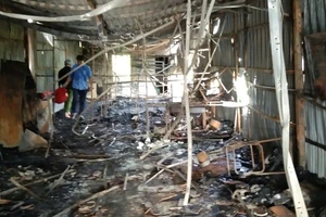 Cà Mau: Bé trai 9 tuổi tử vong trong đám cháy