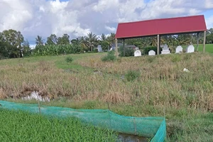 Toà tuyên trả 147 chỉ vàng, vượt yêu cầu của đương sự 