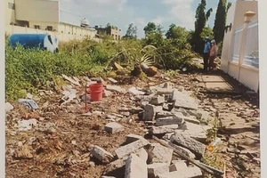 Vụ án bà Âu Vững chặt cây, đào gạch ở Cà Mau: Thiệt hại tăng 55%