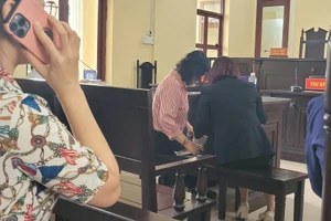 Vụ án bà Âu Ngọc Vững cưa cây ở Cà Mau: Tranh luận chuyện định giá cây dừa