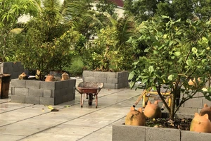 Giám đốc hãng phim Tây Nam lại bị phạt vì vi phạm đất đai