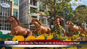 Video: Đường hoa nghệ thuật Cần Thơ dần lộ diện