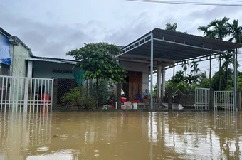 Mưa suốt đêm, nhiều khu vực ở Đà Nẵng ngập sâu