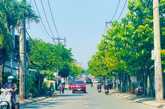 Lý do TP.HCM cần thí điểm đổi đất nông nghiệp lấy đất ở 