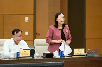 Bà Lê Thị Nga: Nguồn luật sư công khó bảo đảm tính khả thi