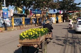Chùm ảnh: Miền Trung muôn nẻo đường xuân 