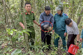 1 người dân ở Khánh Hòa bắt gặp con tê tê trên đường đi làm rẫy