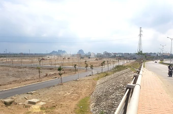 Nhà đầu tư quan tâm đất nông thôn tại Hà Nội