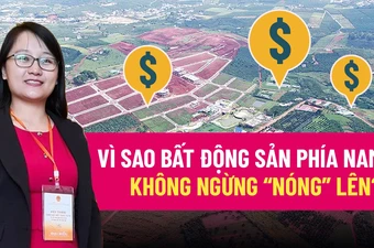 Các lý do khiến bất động sản phía Nam không ngừng 'nóng'