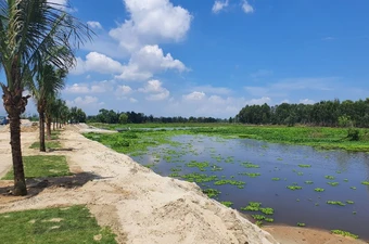 Khơi thông sông Cổ Cò, mở lối đô thị Điện Bàn