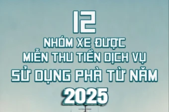 12 nhóm xe được miễn thu tiền dịch vụ sử dụng phà từ 2025