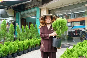 Người dân mua lá bưởi, trắc bách diệp để 'xả xui' đón Tết