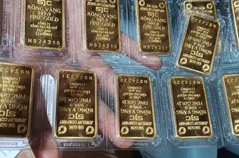 Đào móng làm nhà phát hiện vàng được chôn dưới đất, vàng thuộc về ai?