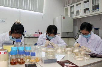 Từ hôm nay, người tài năng vào làm công chức được hưởng những chính sách gì?