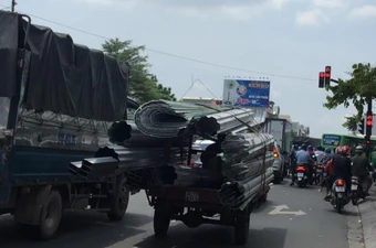 Hoảng hồn với những 'hung thần' thong dong trên phố