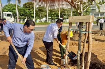 Trồng 230 cây xanh tại Khu đất quy hoạch Quảng trường sáng tạo, TP.HCM