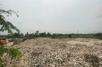 Khởi tố chủ cơ sở chế biến đổ hơn 324 tấn vỏ hàu ra môi trường