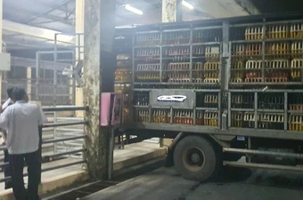 Chặn đứng hai tấn vịt lậu, triệt phá lò mổ heo trái phép giữa TP.HCM