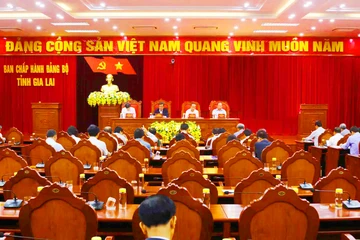 Ban Cán sự đảng UBND tỉnh Gia Lai bị kỷ luật Đảng do liên quan đến AIC