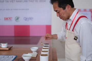 8 mẫu cà phê Arabica ngon nhất Việt Nam được tuyển lựa ở Đà Lạt