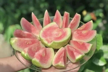 5 cách bảo quản trái cây và rau quả khi đã cắt một nửa