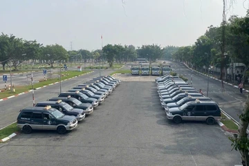Long An, Tiền Giang nợ hơn 12.000 giấy phép lái xe