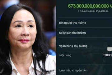 Chế ảnh được bà Trương Mỹ Lan chuyển khoản 673.000 tỉ đồng có vi phạm pháp luật?