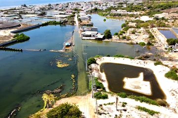 Xử lý dứt điểm các đìa thủy sản xả thải gây ngập úng ở Ninh Thuận