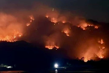 An Giang: Đang cháy rừng ở Núi Tô