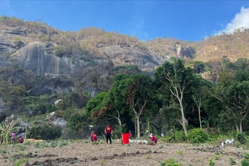 Huy động máy bay không người lái tham gia chữa cháy rừng trên núi Tô 